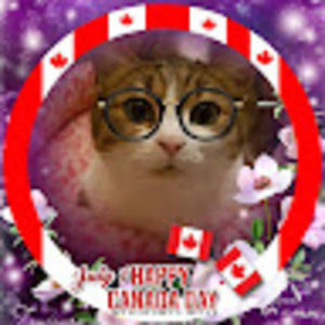 Meet your Posher, Edward